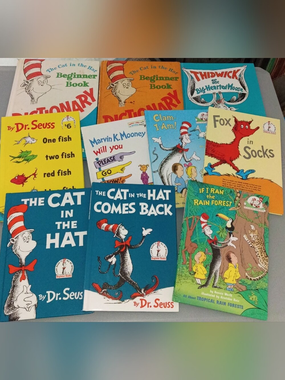 Kids Books Dr Seuss Cat In The Hat Dictionary & More